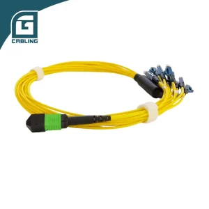 MPO Patch Cord-21285
