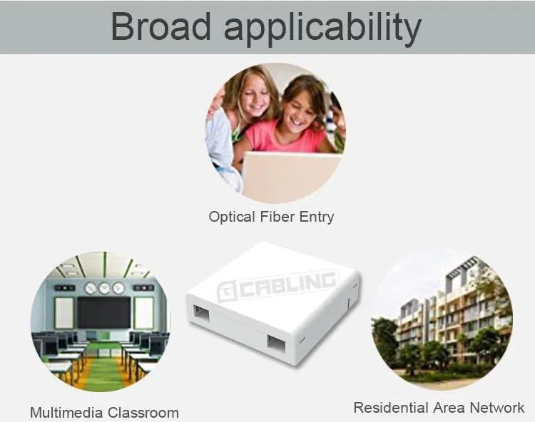 fiber optic box 2 port