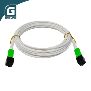 Fiber Patch Cord-21111-4
